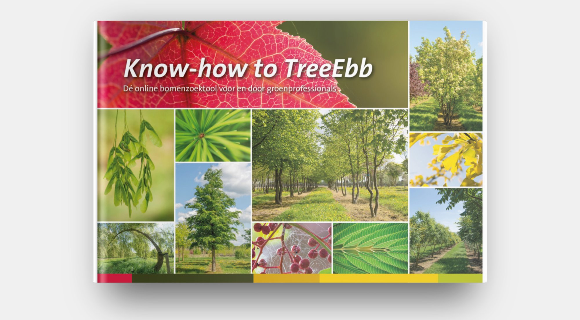 Know how to TreeEbb mockup
