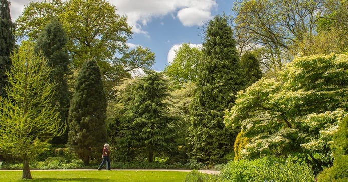 Boomkwekerij Ebben - Arboretum Trompenburg