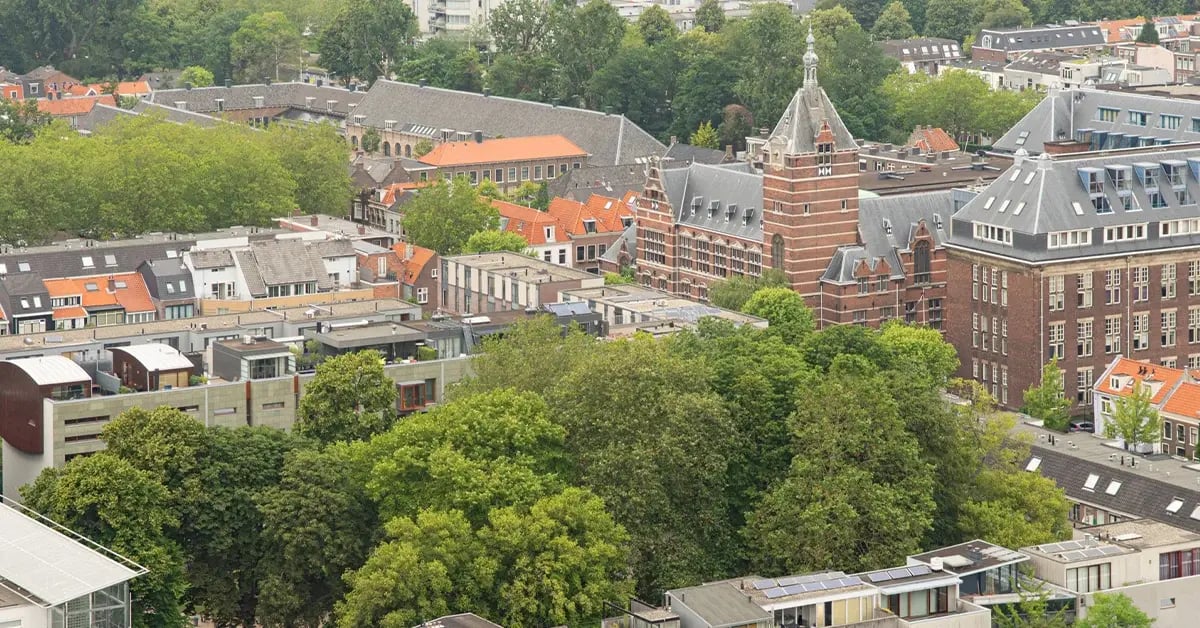 Boomkwekerij Ebben - Delft wijk