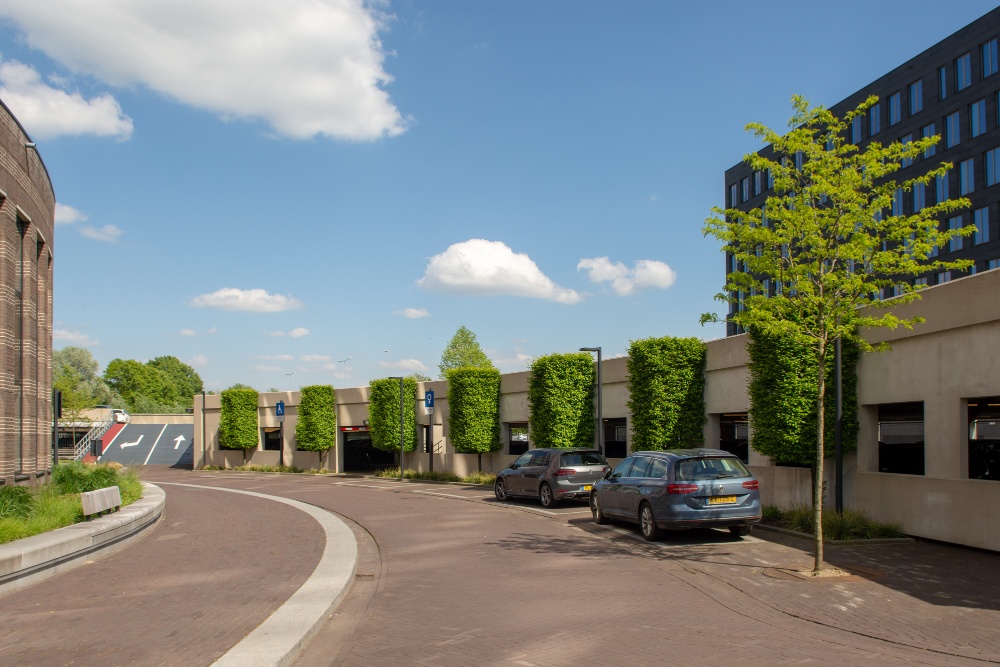 Den Bosch-Bolduc-2018-32-1