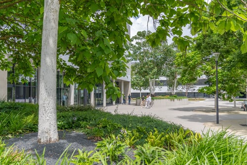Ebben Trees - working landscapes 
