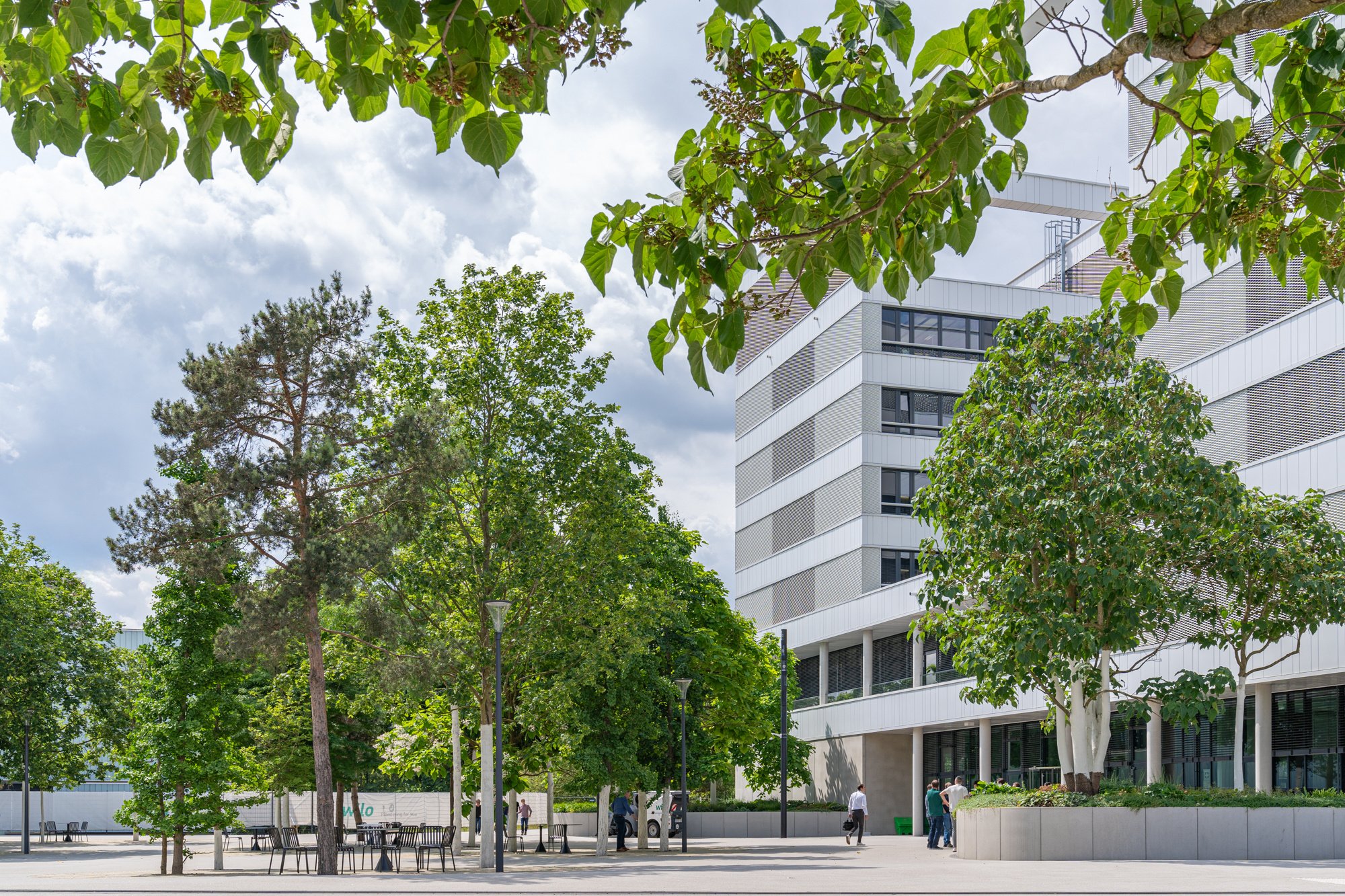 Ebben trees - Werklandschappen - Dortmund-WILO-230627-44