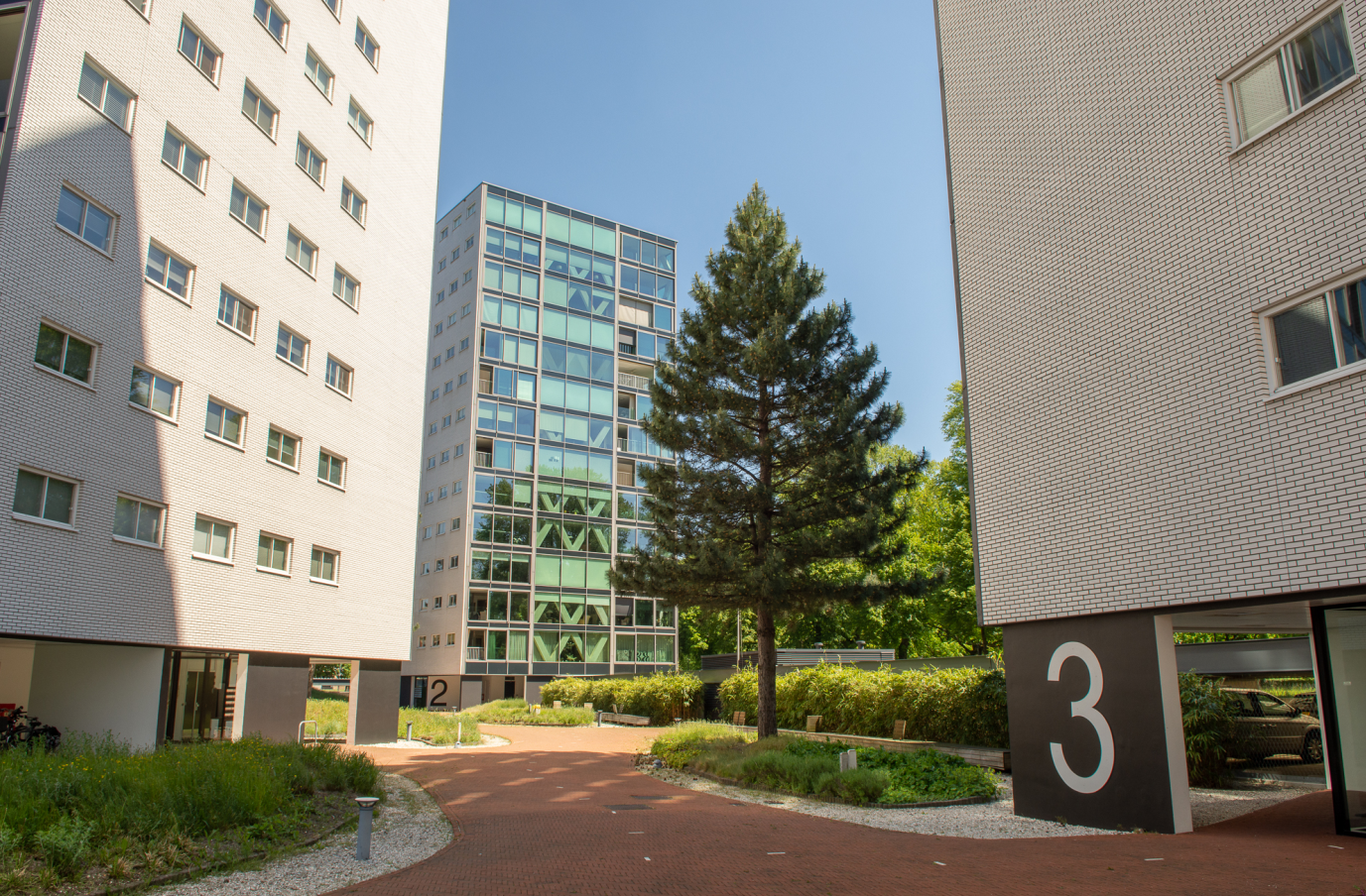 Ebben trees - chasse park - hoogbouw 3