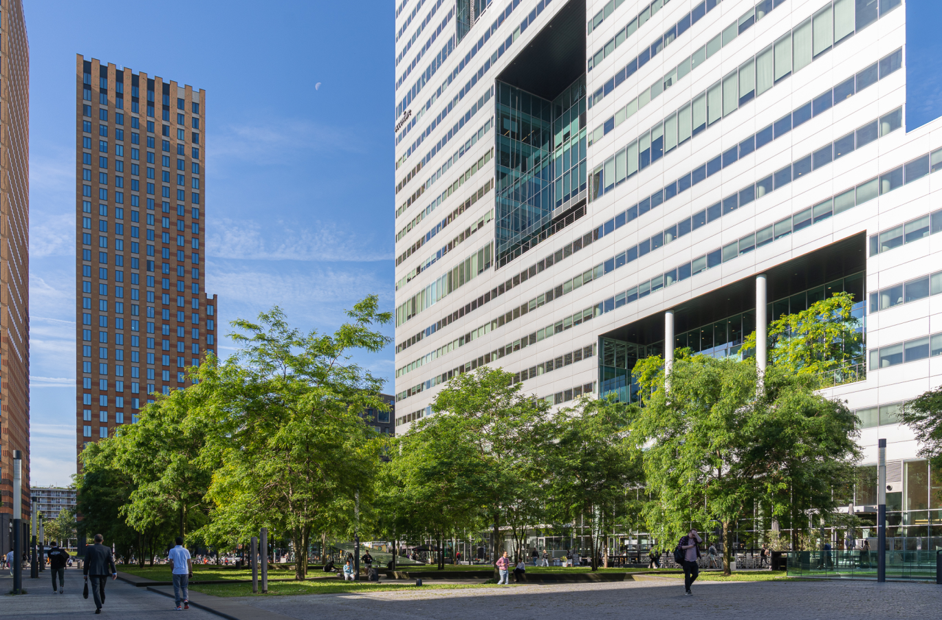 Ebben trees - hoogbouw 2 Gustav Mahlerplein