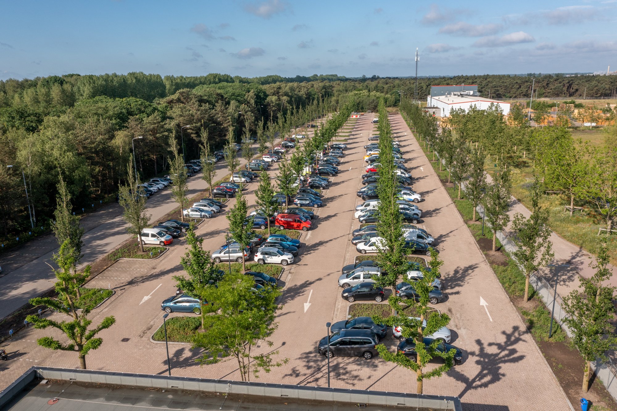 Ebben trees- Werklandschappen Weert-Trespa-220525-31-1