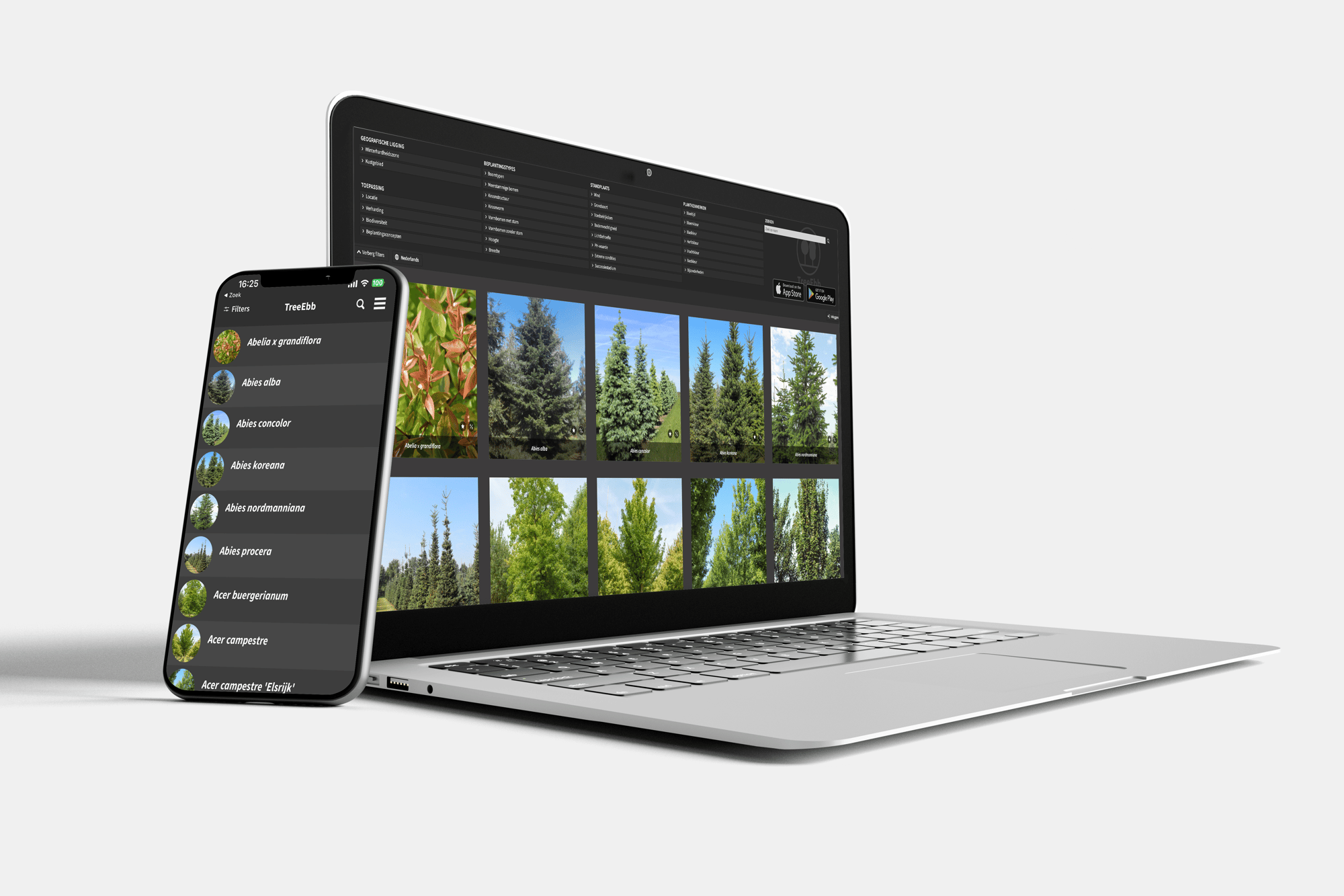 Mockup Laptop en mobiel-TreeEbb