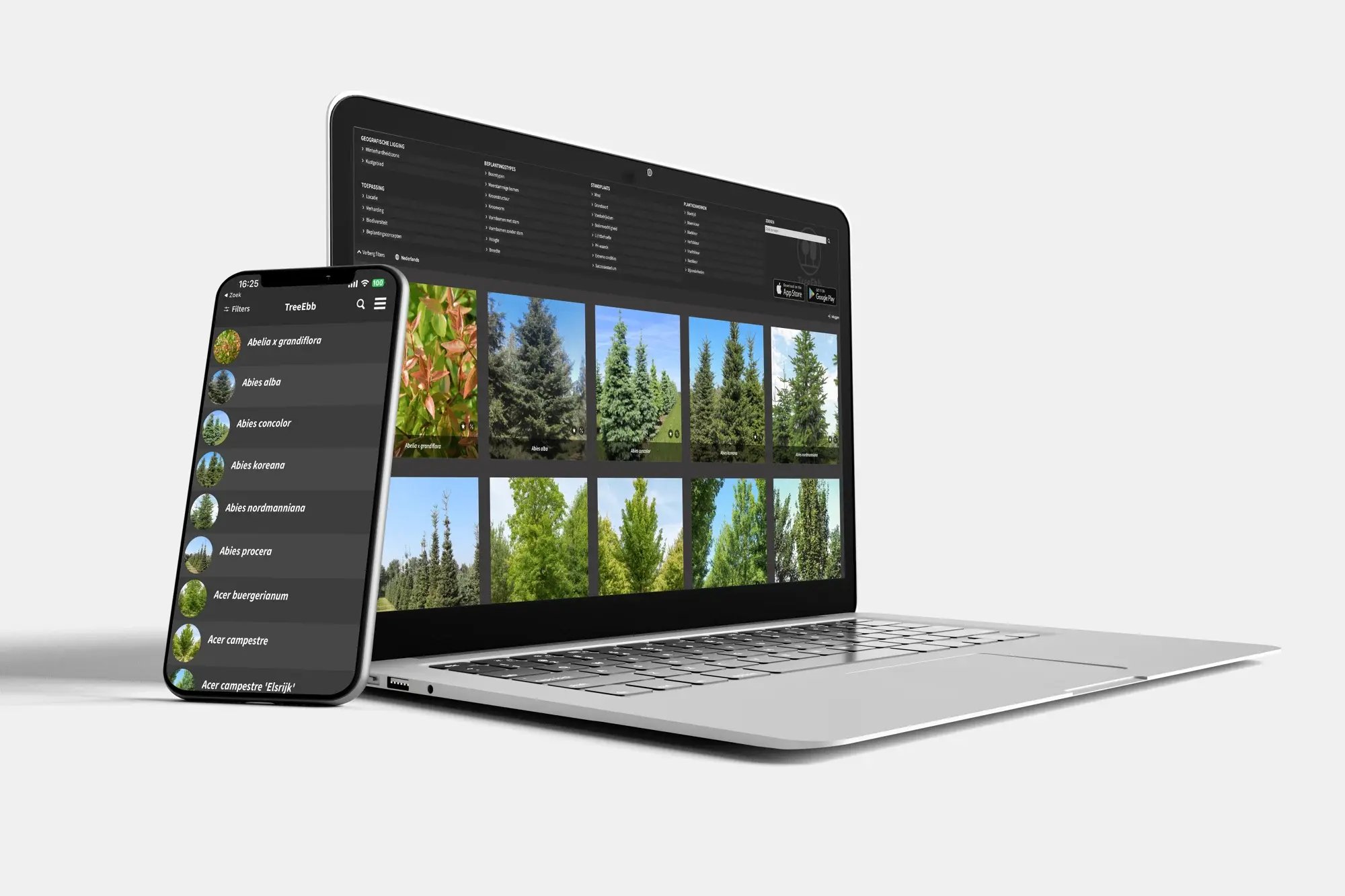 Mockup Laptop en mobiel-TreeEbb-min