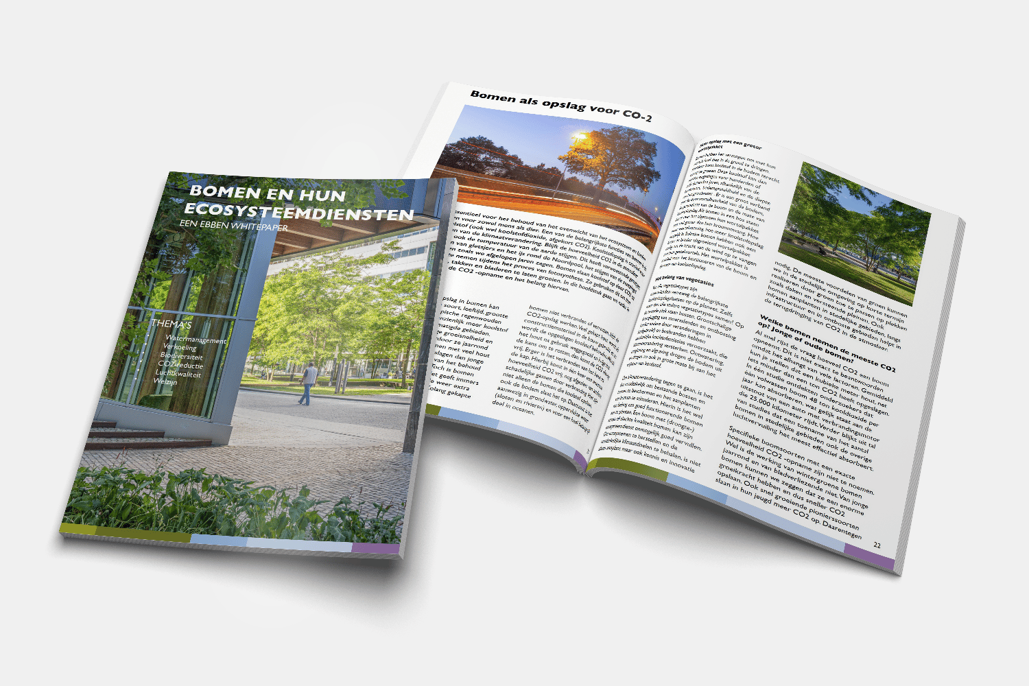Mockup-Bomen en hun ecosysteemdiensten-1