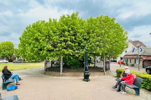 Nuenen - Prieellinde