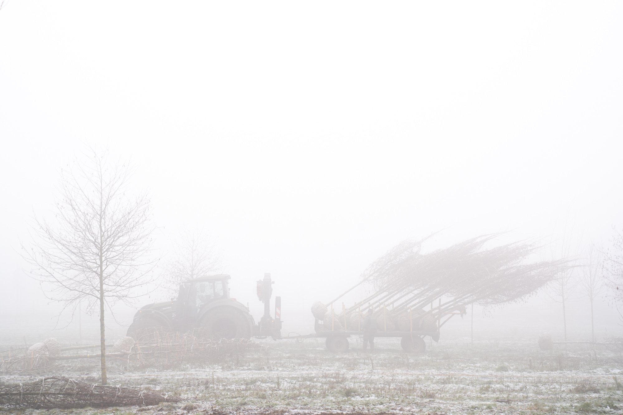 Tractor met bomenkar geladen