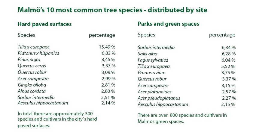 most common tree species per site-1